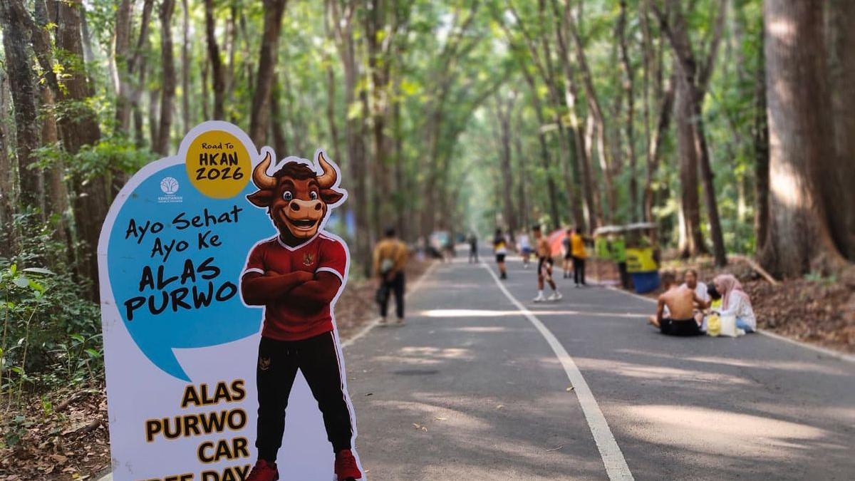 CFD Alas Purwo Banyuwangi, Ada Yoga hingga Jungle Run di Tengah Hutan