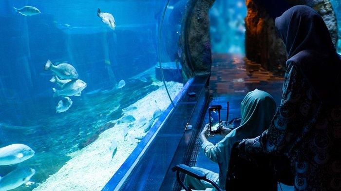 Hari Ini Terakhir! Nilai Rapor Minimal 80 Bisa Masuk BXSea Gratis