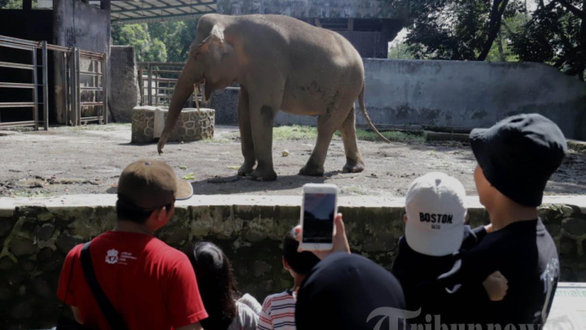3 Wisata Murah di Jakarta Selatan, Ada yang Gratis dan Tiket Rp 4.000
